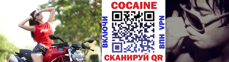 гидра tor  Светогорск  Кокаин Эквадор 