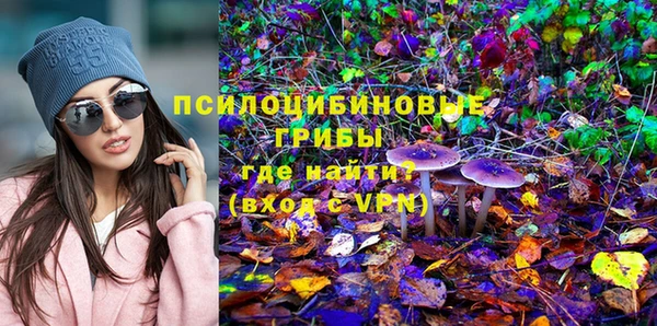 гидра Богданович