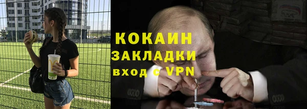 гидра Богданович
