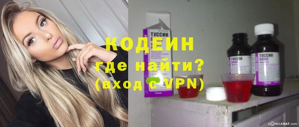 гидра Богданович