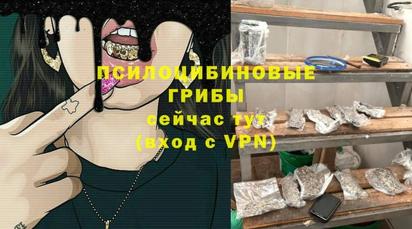 гидра Богданович