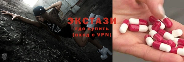 гидра Богданович