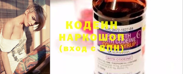 гидра Богданович