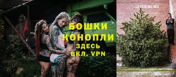гидра Богданович