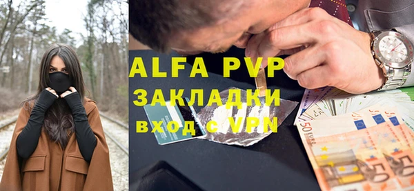 гидра Богданович
