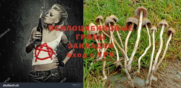 гидра Богданович