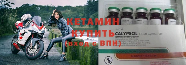 гидра Богданович