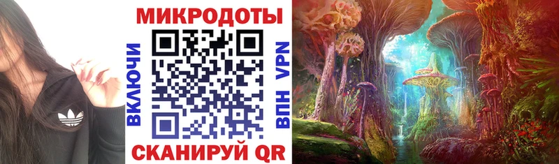 Псилоцибиновые грибы Magic Shrooms хочу наркоту Светогорск