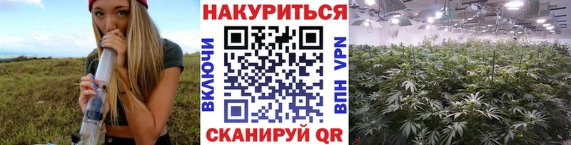 Марихуана марихуана где можно купить Светогорск